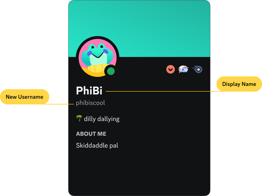 A Discord profile with a new username. Their username is now "phibiscool," and their display name is "PhiBi."